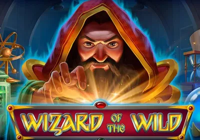 Wizard of the Wild screenshot